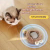 Active Rolling Ball with Tail for Cats